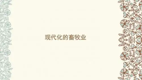 地理人教版七年级下册现代化的畜牧业ppt
