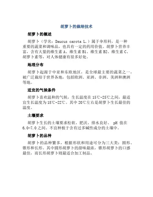 胡萝卜的栽培技术