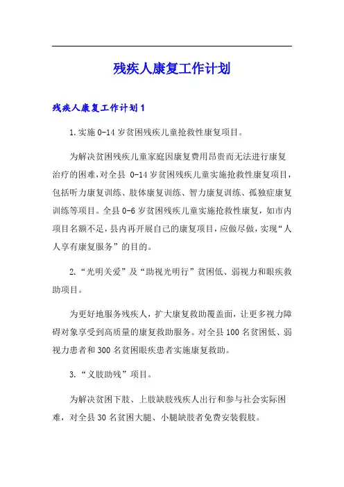 残疾人康复工作计划