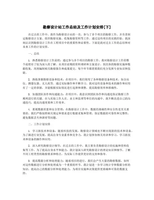 勘察设计站工作总结及工作计划安排[下]