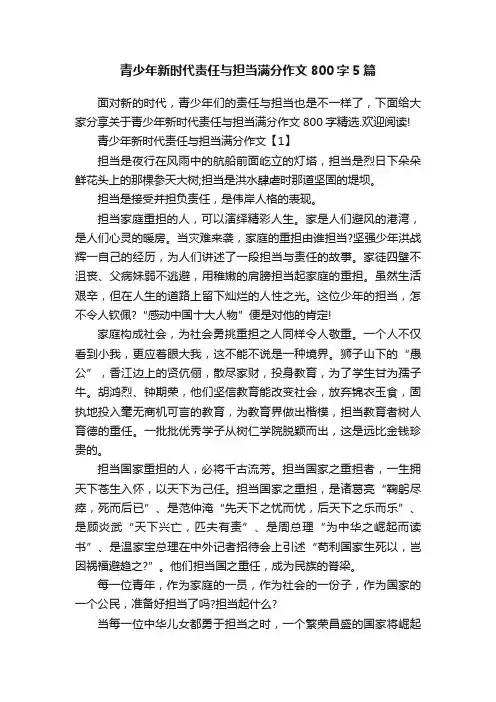 青少年新时代责任与担当满分作文800字5篇