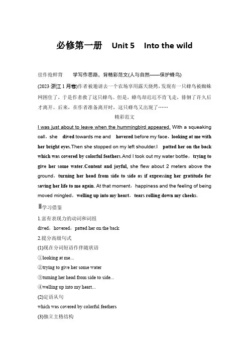 2025届高中英语一轮复习讲义：外研版()必修第一册Unit 5Into the wild(解析版)