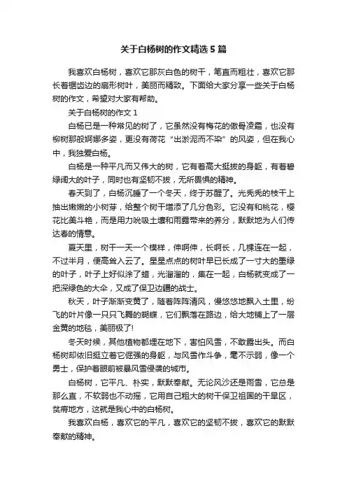 关于白杨树的作文精选5篇