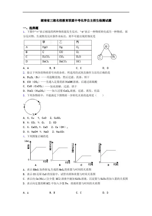 湖南省三湘名校教育联盟中考化学自主招生检测试题