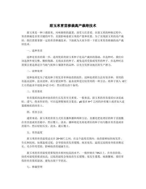 甜玉米育苗移栽高产栽培技术