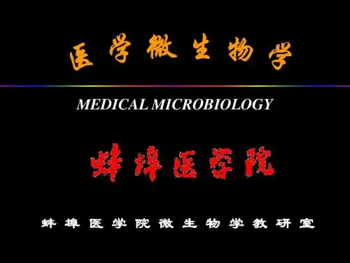 支原体、衣原体、立克次体、螺旋体
