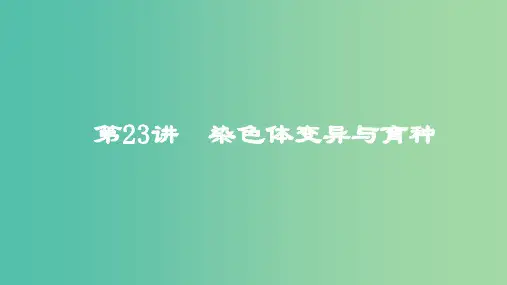 2019高考生物一轮复习 第23讲 染色体变异与育种课件