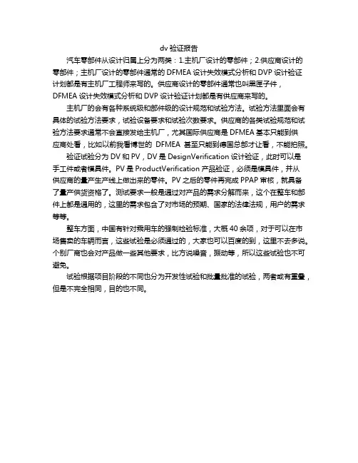 dv验证报告