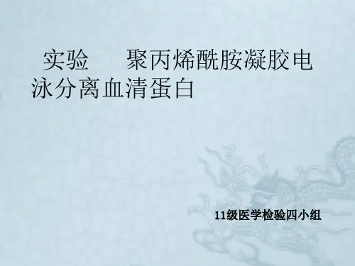 《实验聚丙烯酰胺》PPT课件