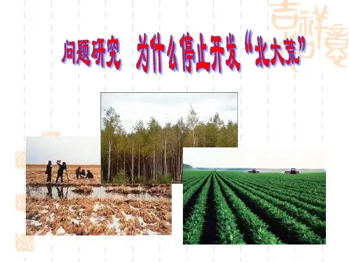 人教版高中地理必修3第二章问题研究《为什么停止开发“北大荒”》优质课件(共26张PPT)