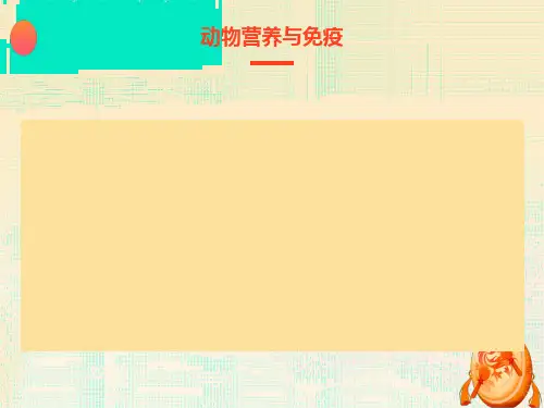 动物营养与免疫