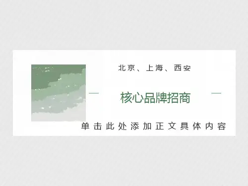 招商进展汇报及考察汇报ppt