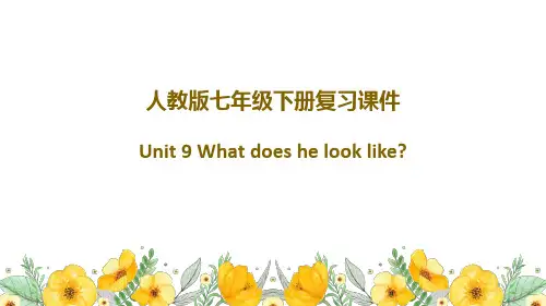 Unit 9人教版英语七年级下册复习课件(共36张PPT)