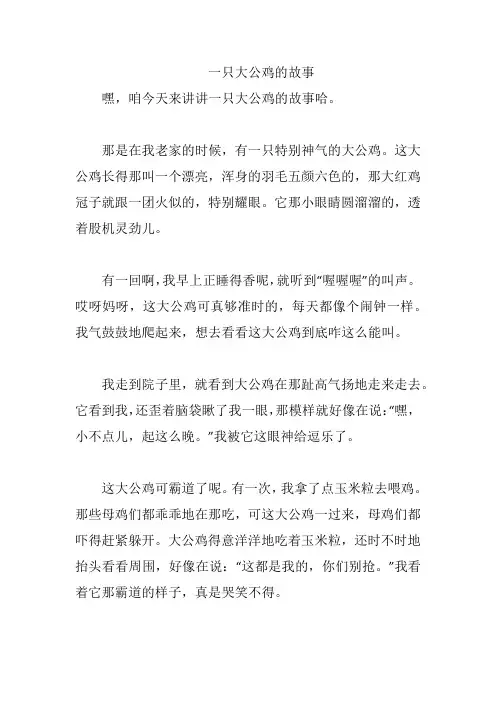 一只大公鸡的故事
