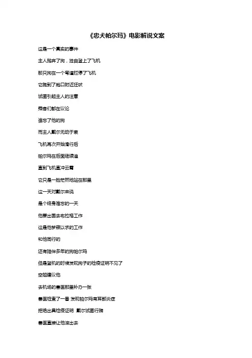 《忠犬帕尔玛》电影解说文案