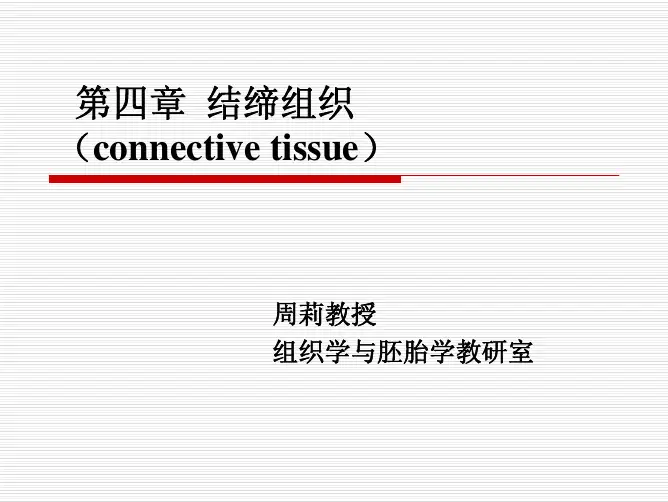 结缔组织
