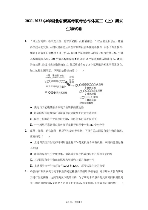 2021-2022学年湖北省新高考联考协作体高三(上)期末生物试卷(附答案详解)