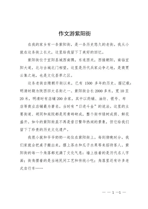 作文游紫阳街