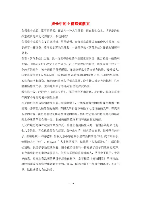 成长中的4篇探索散文