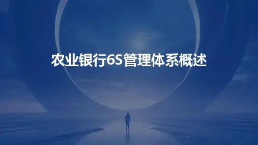 农业银行6S管理体系概述