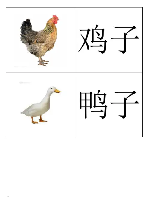 基础动物卡片(幼儿识图)