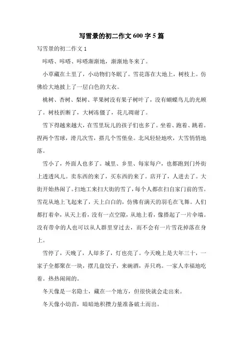 写雪景的初二作文600字5篇