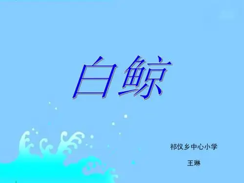 《白鲸》课件(西师大版小学语文四年级下册课件)