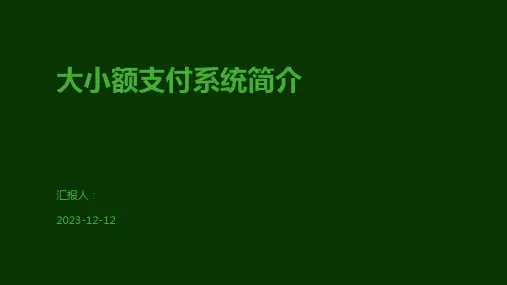 大小额支付系统简介