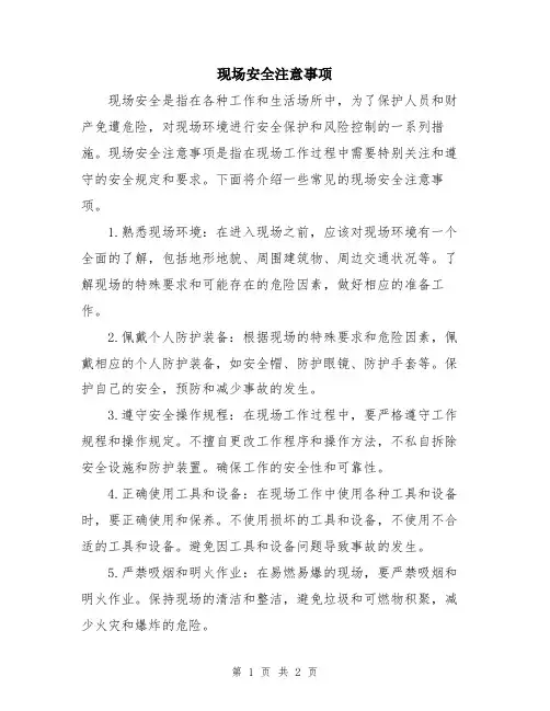 现场安全注意事项