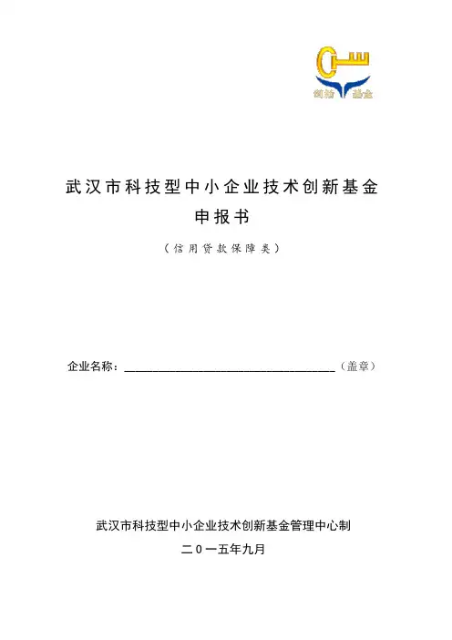 度武汉市科技型中小企业技术创新基金申报书信用贷款保障类.doc