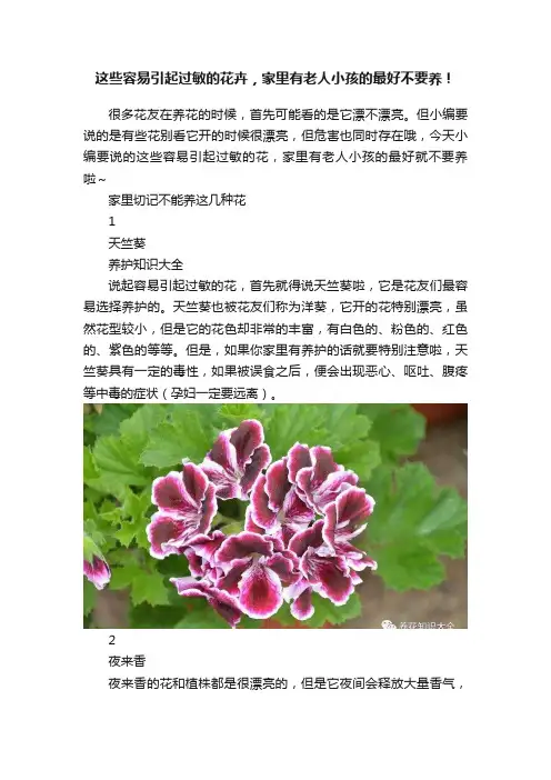 这些容易引起过敏的花卉，家里有老人小孩的最好不要养！
