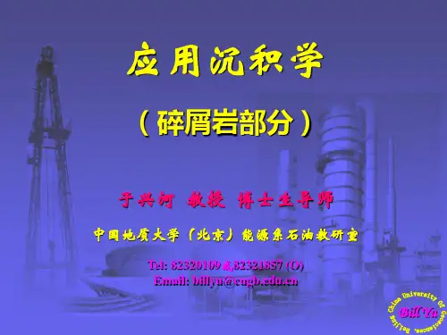 应用沉积学-碎屑岩部分(于兴河教授)