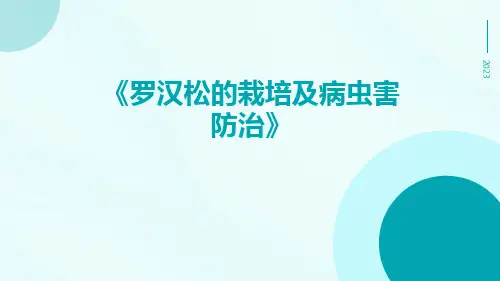 罗汉松的栽培及病虫害防治