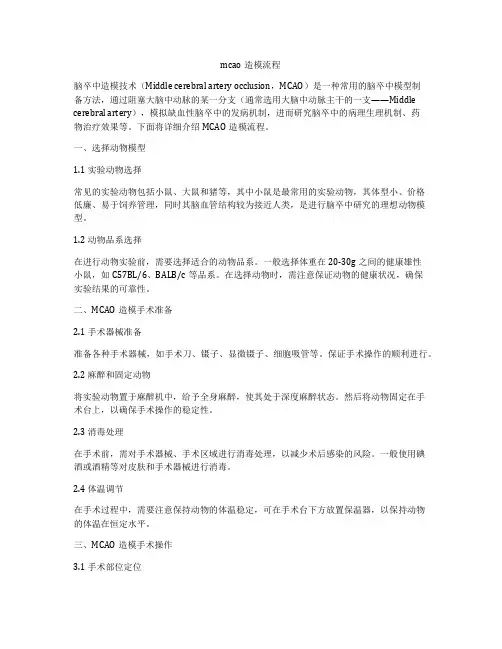 mcao造模流程