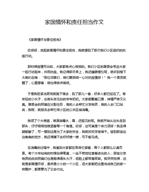 家国情怀和责任担当作文