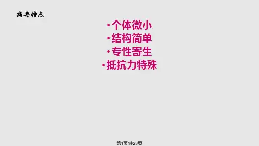 动物微生物学及免疫学病毒PPT课件