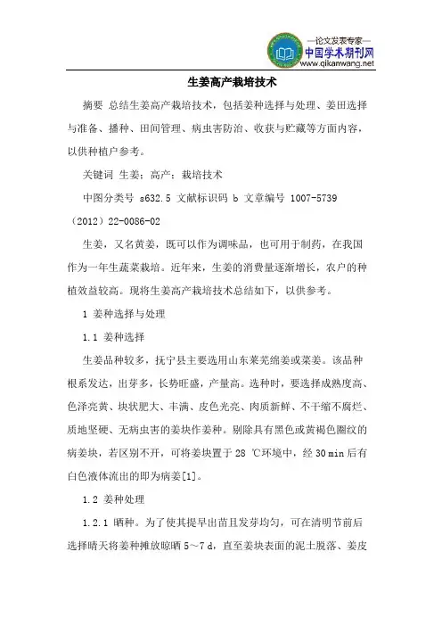 生姜高产栽培技术