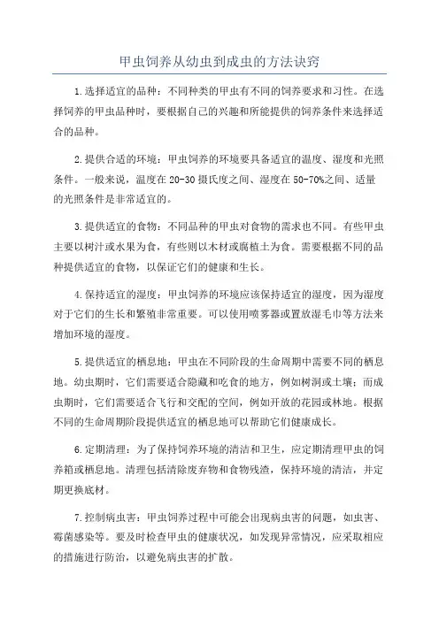 甲虫饲养从幼虫到成虫的方法诀窍
