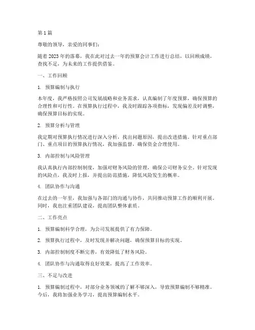 预算会计年度总结(3篇)