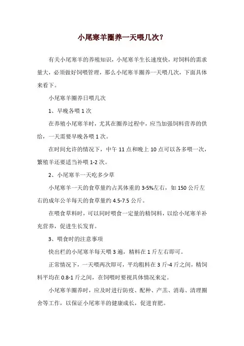 小尾寒羊圈养一天喂几次？