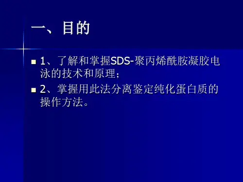 实验二聚丙烯酰胺凝胶电泳SDS-PAGE鉴定免疫球蛋白
