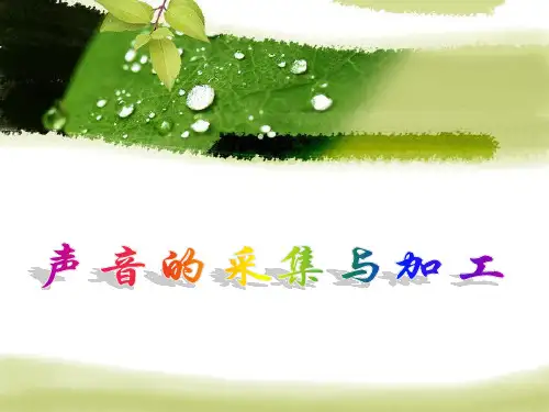 第一课声音的采集与加工课件(共19张PPT)