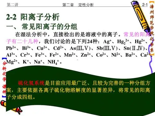2第二章1-2-2  阳离子分析