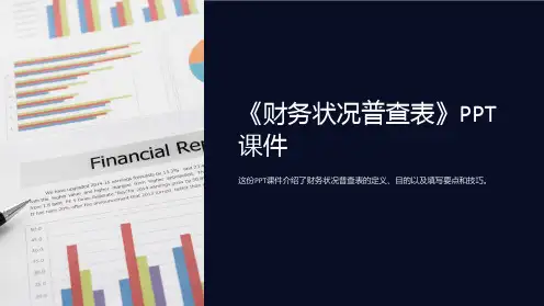 《财务状况普查表》课件
