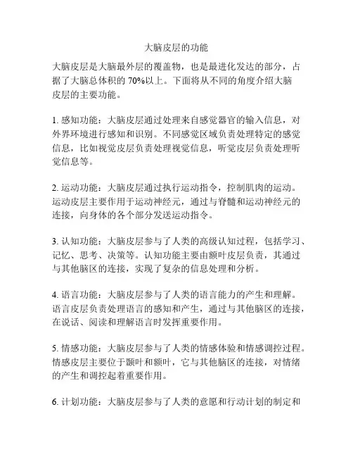 大脑皮层的功能