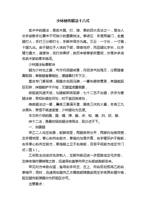 少林秘传腿法十六式