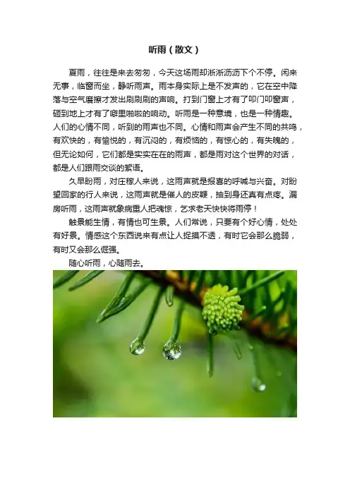 听雨（散文）