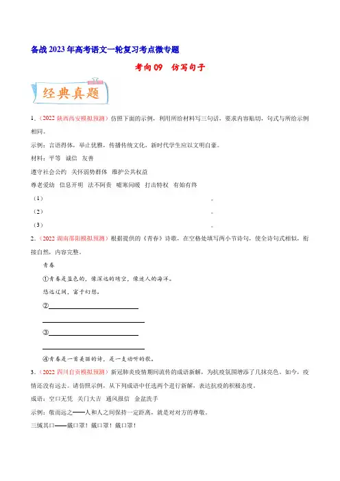 高考语文一轮复习考点(新高考地区专用)考向09仿写句子(原卷版+解析)