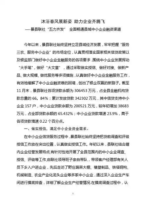 沐浴春风展新姿-助力企业齐腾飞——景县联社“五力齐发”-全面畅通县域中小企业融资渠道