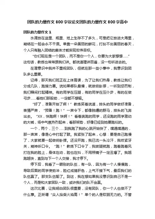 团队的力量作文800字议论文团队的力量作文800字高中